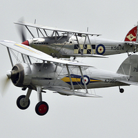 Buy canvas prints of  Sea fury and gloster gladiator  by Andy Stringer