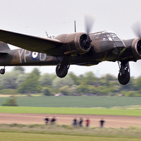 Buy canvas prints of  blenhiem taking off  by Andy Stringer