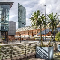 Buy canvas prints of  Manchester Central Palm Trees  by William Duggan