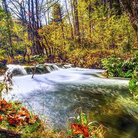 Buy canvas prints of  Autumn River flow by William Duggan