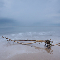 Buy canvas prints of  Naze beach at dusk by Simon Rich