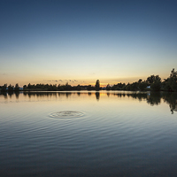 Buy canvas prints of  Gatton Water Sunset by Chris Mann