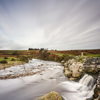 Buy canvas prints of  Autumn on the moor by Chris Mann