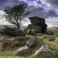 Buy canvas prints of Evening light (Emsworthy Rocks, Saddle Tor)  by Andrew Ray