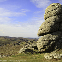 Buy canvas prints of Saddle Tor view by Andrew Ray