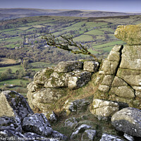 Buy canvas prints of Chinkwell Tor View  by Andrew Ray