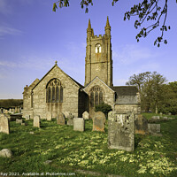 Buy canvas prints of Primroses in Widecombe-in-the-Moor Churchyard by Andrew Ray