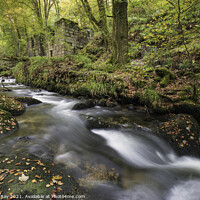 Buy canvas prints of River Kennall at Kennall Vale  by Andrew Ray