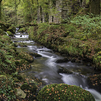 Buy canvas prints of River at Kennall Vale  by Andrew Ray
