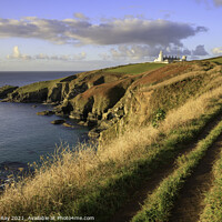 Buy canvas prints of Footpath to Lizard Lighthouse  by Andrew Ray