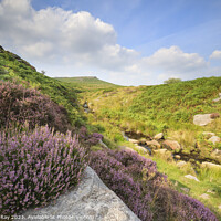 Buy canvas prints of Heather above Burbage Brook  by Andrew Ray