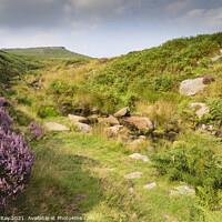 Buy canvas prints of Heather at Burbage Bridge by Andrew Ray