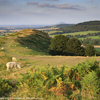 Buy canvas prints of Ridge view (The Lawley)  by Andrew Ray