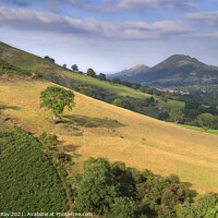Buy canvas prints of Shropshire Hills view by Andrew Ray