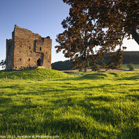 Buy canvas prints of Evening light at Hopton Castle by Andrew Ray