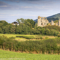 Buy canvas prints of Clun Castle view  by Andrew Ray
