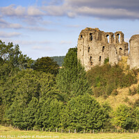 Buy canvas prints of Clun Castle  by Andrew Ray