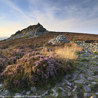 Buy canvas prints of Summer evening at the Stiperstones  by Andrew Ray