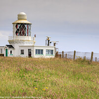 Buy canvas prints of St Ann's Head Lighthouse  by Andrew Ray