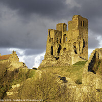 Buy canvas prints of Evening light on Scarborough Castle by Andrew Ray