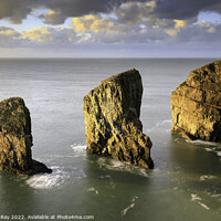 Buy canvas prints of Morning light on Elegug Sea Stacks by Andrew Ray