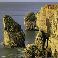Buy canvas prints of Castlemartin Sea Stacks by Andrew Ray