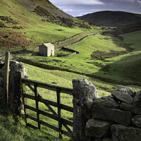 Buy canvas prints of Gate view (path to High Cup Nick)  by Andrew Ray