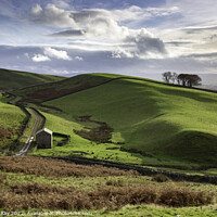 Buy canvas prints of Barn in North Pennines by Andrew Ray