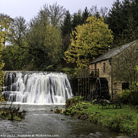 Buy canvas prints of Autumn at Rutter Force  by Andrew Ray