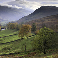 Buy canvas prints of Autumn trees (St Johns in the Vale)  by Andrew Ray