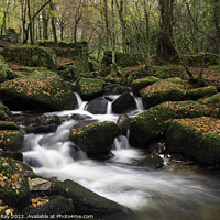 Buy canvas prints of River Kennall in autumn  by Andrew Ray
