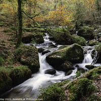 Buy canvas prints of Kennall Vale Nature Reserve  by Andrew Ray