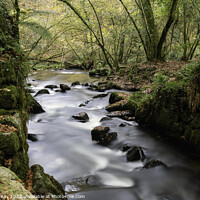 Buy canvas prints of River view (Kennall Vale) by Andrew Ray