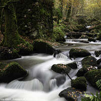Buy canvas prints of River Kennall Nature Resevre  by Andrew Ray