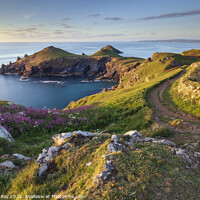 Buy canvas prints of Evening light (The Rumps) by Andrew Ray