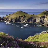Buy canvas prints of Spring at The Rumps by Andrew Ray
