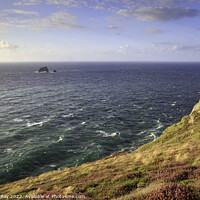 Buy canvas prints of Summer evening at St Agnes Head  by Andrew Ray