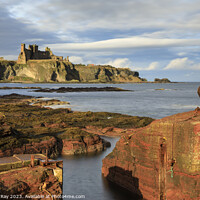 Buy canvas prints of Tanstallon Castle from Seacliff Harbour  by Andrew Ray