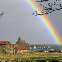Buy canvas prints of Rainbow over Lindisfarne Castle by Andrew Ray