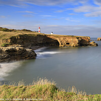 Buy canvas prints of Towards Souter Lighthouse by Andrew Ray