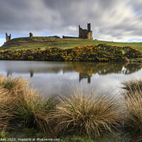 Buy canvas prints of Morning at Dunstanburgh  by Andrew Ray