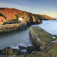 Buy canvas prints of Morning at Porthgain by Andrew Ray