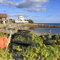 Buy canvas prints of Lobster pots at Steephill Cove  by Andrew Ray
