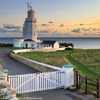 Buy canvas prints of St Catherine's Lighthouse at sunset  by Andrew Ray