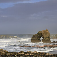 Buy canvas prints of Thurlestone Arch and Burgh Island by Andrew Ray
