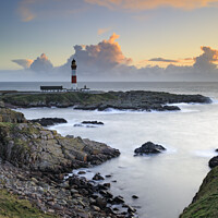 Buy canvas prints of Buchan Ness Lighthouse at sunrise by Andrew Ray