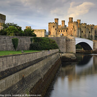 Buy canvas prints of First light on Conwy Castle  by Andrew Ray