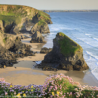 Buy canvas prints of Above Bedruthan Steps Beach  by Andrew Ray