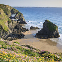 Buy canvas prints of Spring floral display (Bedruthan Steps)  by Andrew Ray