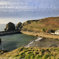 Buy canvas prints of Above Mullion Harbour  by Andrew Ray